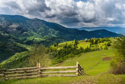 Hinterm Zaun und weiter