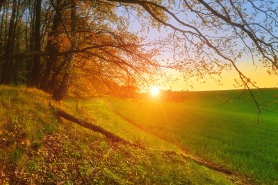Landschaft erwacht