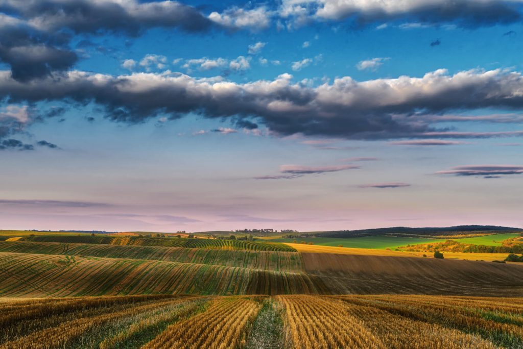 I były żniwa