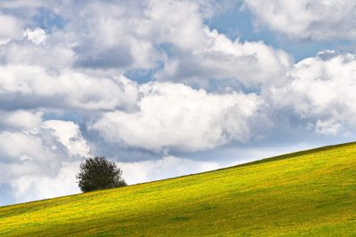 Allein unter freiem Himmel