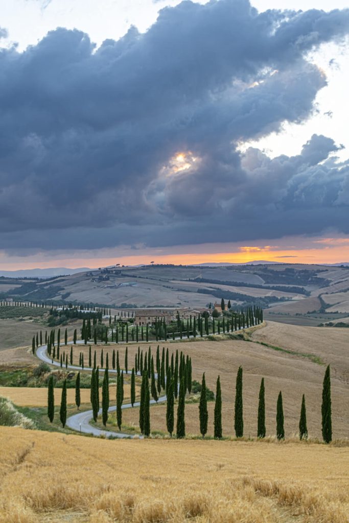Cypress Lined Road