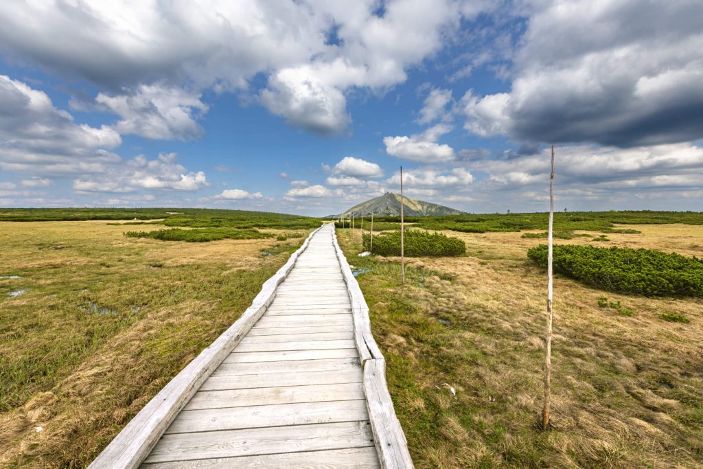 Torfowisko Upy pod Śnieżką
