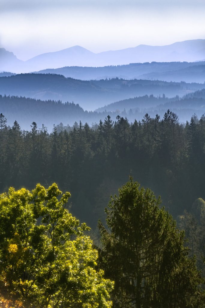Beskydy Mists