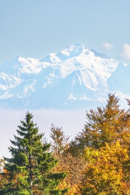 Autumn beneath Snowy Peak