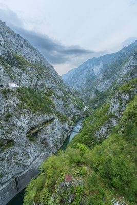 Wild Beauty of the Canyon