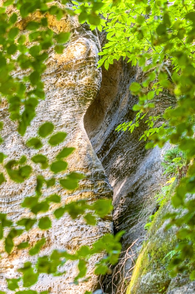Šepot lesních skal