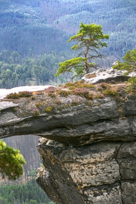 Guardian of Rock Gate