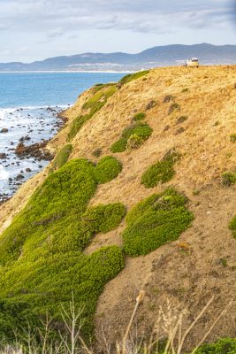 Green Isles of Sardinia