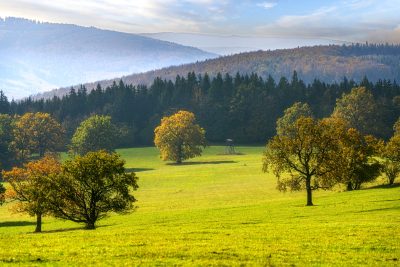 Karpatská louka