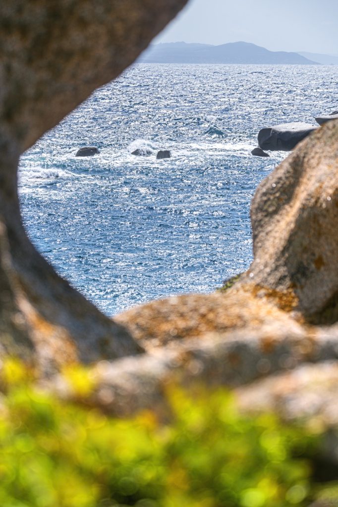Okno do Sardinie