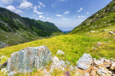 Carpathian Serpentines